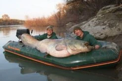 Kolibri KM-300D Professional Karperboot -Kota Boten Winkel Afbeelding 10 19 6 1
